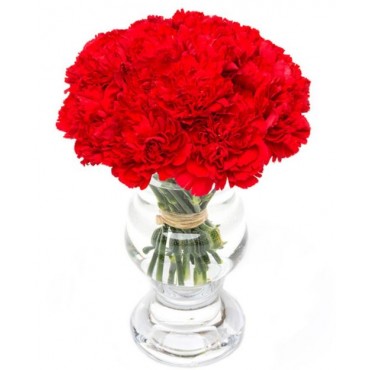 Red Carnations for Home or Office